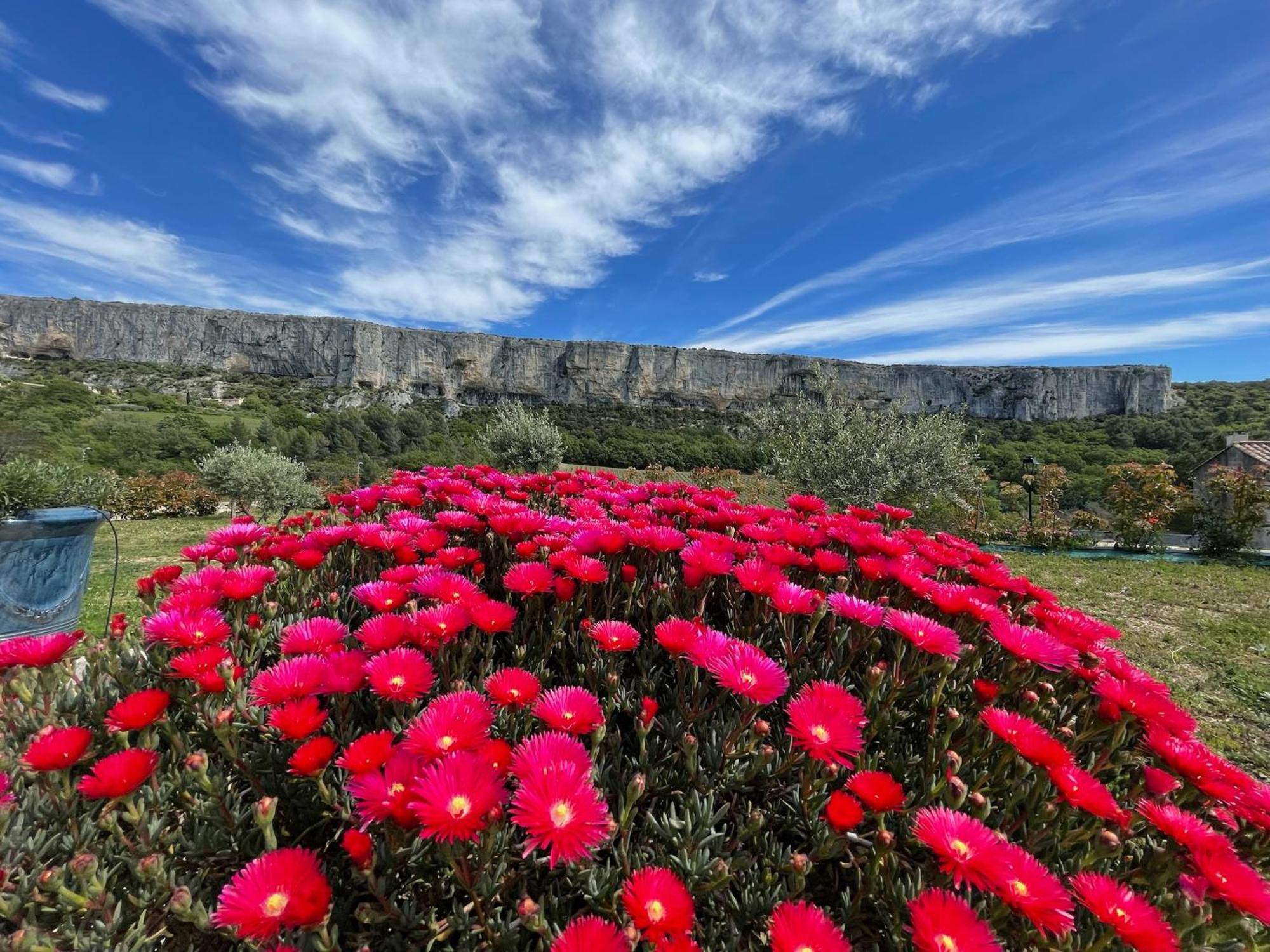 Gite La Madeleine Du Luberon. Lioux Exteriör bild