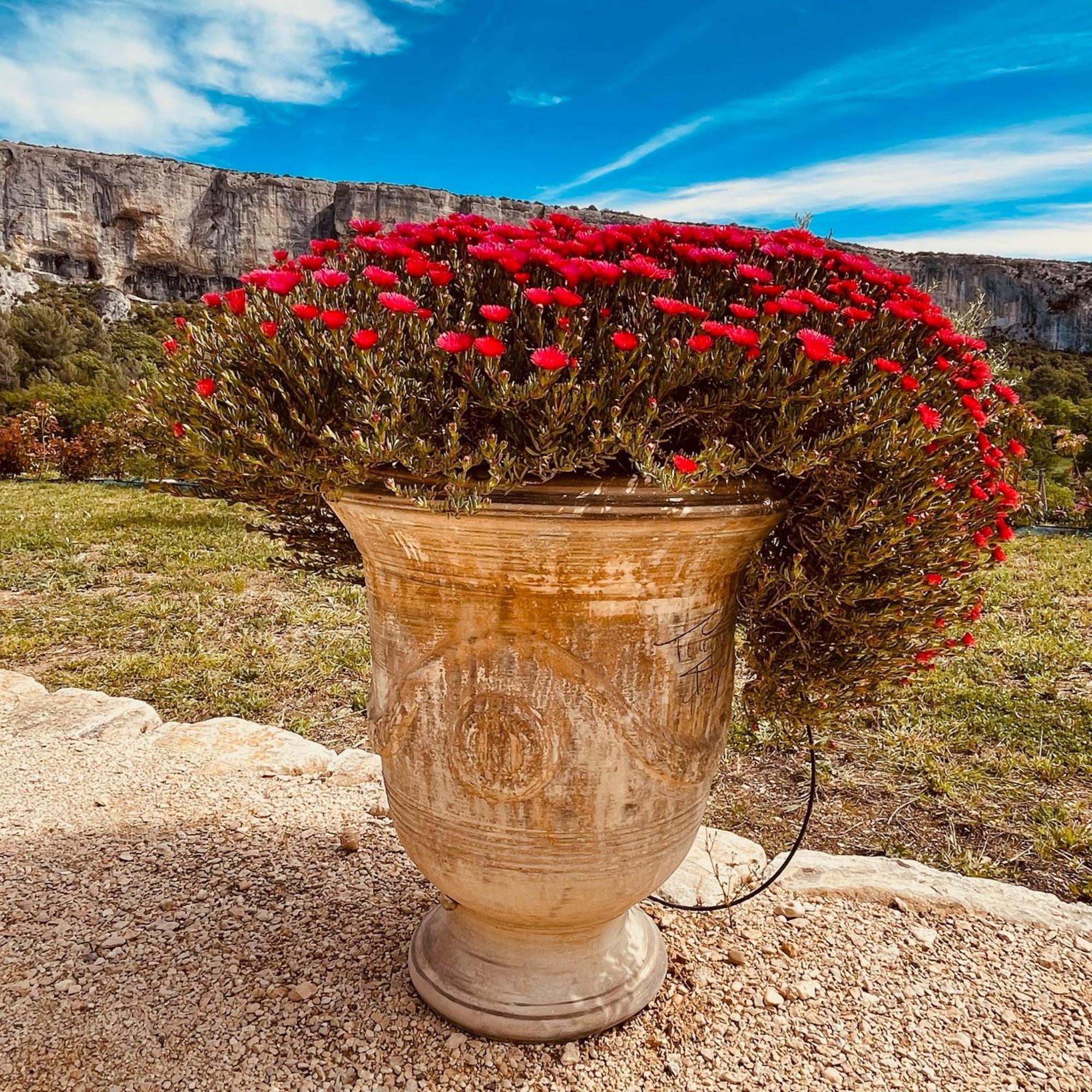Gite La Madeleine Du Luberon. Lioux Exteriör bild